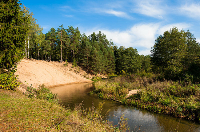 Дикий отдых по-королевски: ТОП-40+ мест для кемпинга в Беларуси